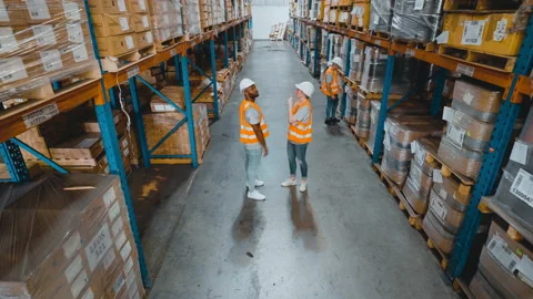 Warehouse workers discussing in the distribution center Stock Footage 163346049
