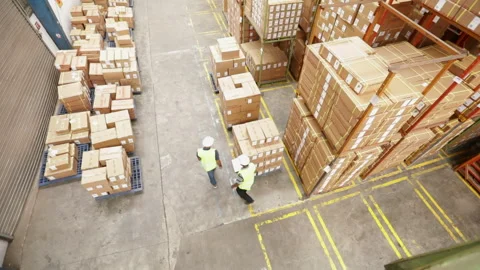 Warehouse Workers Inspect Cardboard Boxes Stock Footage 248531072