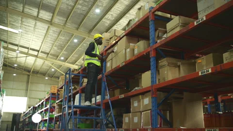 Warehouse workers in a large warehouse Stock Footage 255225016