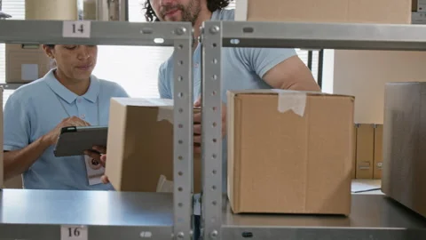 Warehouse Workers Organizing Cardboard Boxes on Shelves Stock Footage 346069008