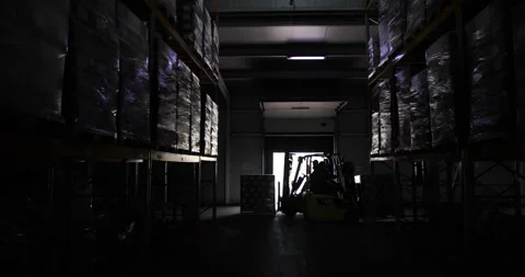 Warehouse workers ride forklifts, moving pallets with cardboard boxes of goods Stock Footage 244742002