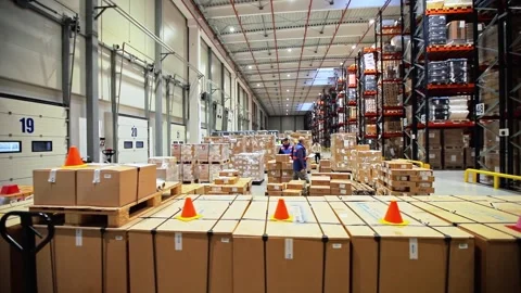 Warehouse Workers Working Preparing orders for Loading Deposit Interior Stock Footage 139333732