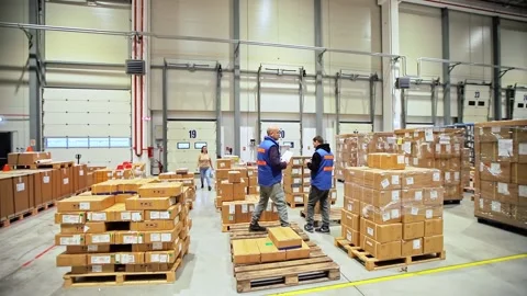 Warehouse Workers Working Preparing orders for Loading Deposit Interior Stock Footage 139333738