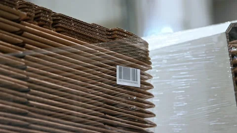 Warehouse Workers Working Preparing orders for Loading Deposit Interior Vídeo Stock 139333822