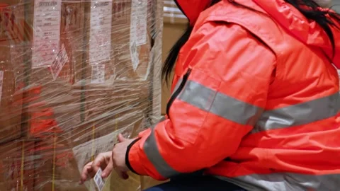 Warehouse Workers Working Preparing orders for Loading Deposit Interior Stock Footage 139333857