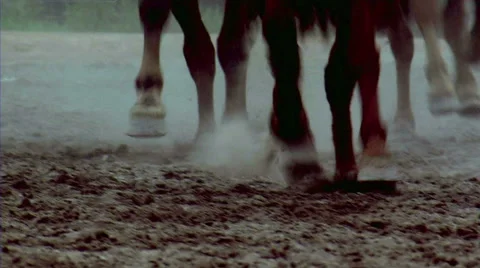 Warhorses running in slowmotion Stock Footage 57945553