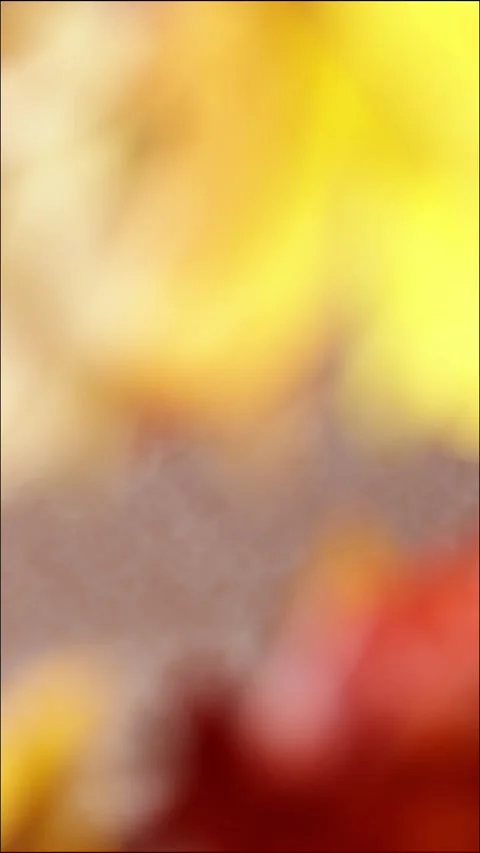 Warm abstract blur of moving maple leaves and wall shadows for autumn backg.. Stock Footage 345089943