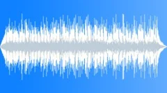 Warm Acoustic Folk_60 Sec Stock Music