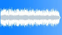 Warm Acoustic Guitar Stock Music