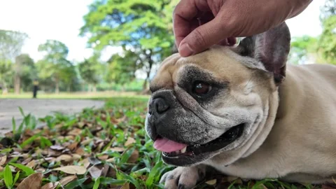 Warm affection: An intimate moment of affection, Vídeo Stock 323584934