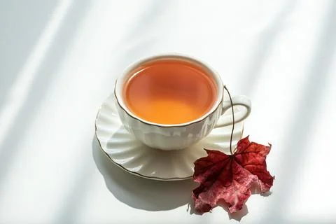 Warm amber tea in elegant white cup with golden rim beside dried red maple .. Stock Photos