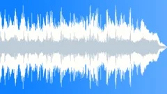 Warm And Atmospheric - 15 Second Stock Music