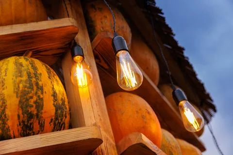 Warm and Inviting Display of Pumpkins with Decorative Lights Illuminating the Stock Photos