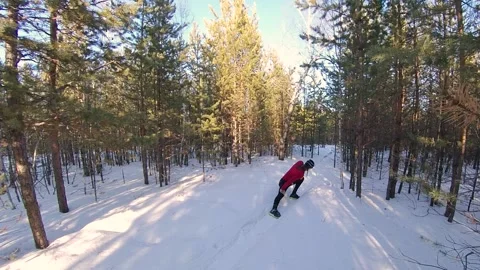 Warm up and jogging in the winter forest. 2 Shots. Видео 150799247