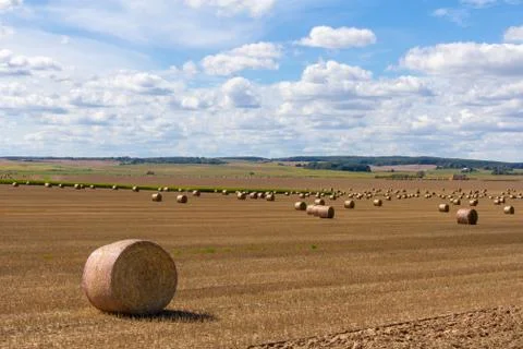 Warm August in Belarus, in the fields of cereals have already been removed, a Stock Photos