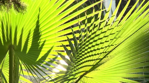 Warm autumn Stock Footage 32659373