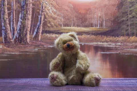 Warm autumn light bathes a rustic teddy bear Stock Photos