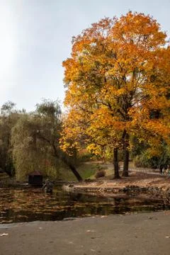 Warm autumn park Stock Photos