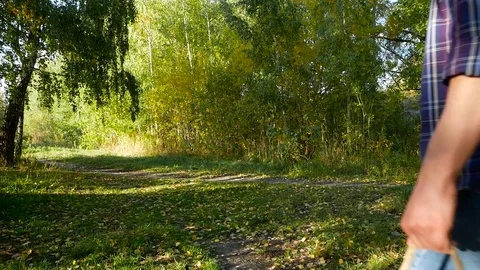 Warm autumn visit to forest Stock Footage 81768642