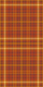 Warm autumnal plaid pattern.  Perfect for fallthemed designs, websites, and t 库存插图