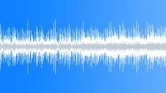 Warm Bliss Acoustic 80 seconds Loopable Stock Music