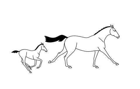 Warm-blooded mare and foal gallop Stock Illustration