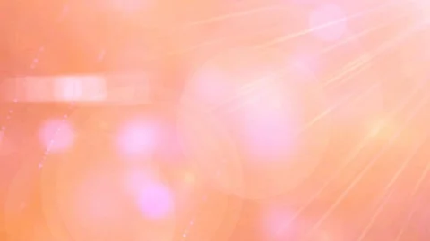 Warm bokeh summer background Stock Footage 88637769