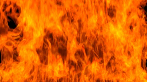 Warm Burning And Glowing Fire Video stock 59560367
