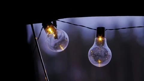 Warm Camp String Lights Glow at Twilight – Serene Evening in Latvian Forest Stock Footage 315287455