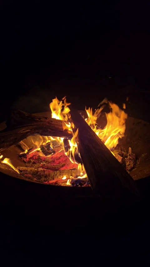 Warm campfire gathering under a starry night sky with friends sharing stori.. Stock Footage 296498503