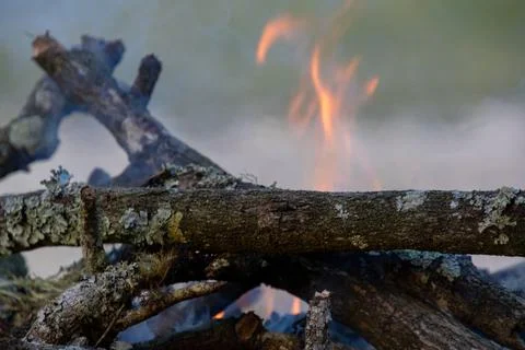 A warm campfire Stock Photos