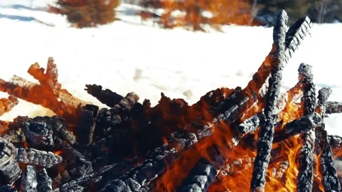 Warm campfire on a windy winter day Stock Footage 79179406
