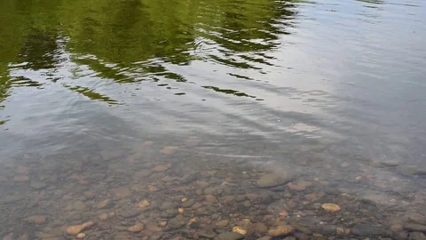 Warm clear waters flow after winter outdoors Video stock 91683490