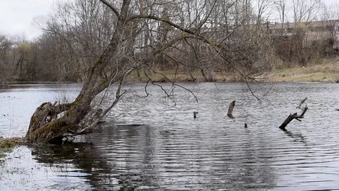 Warm clear waters flow after winter outdoors Stock Footage 91717808