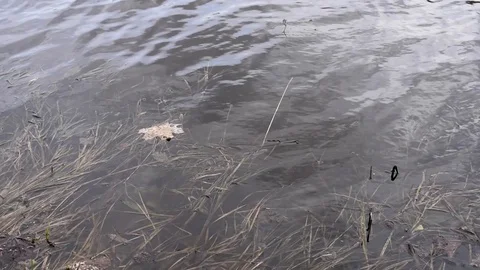 Warm clear waters flow after winter outdoors Stock Footage 91717836