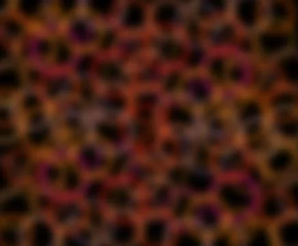 Warm colors abstract background at black Illustrazione stock