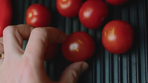Warm culinary view of hands turning cherry tomatoes over heat Stock Footage 342152675