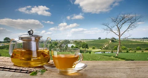 Warm cup of tea and tea leaf with the tea plantations background Stock Footage 84466346