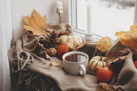 Warm cup of tea, pumpkins, fall leaves, candle, lights on cozy scarf on win.. Stock Photos