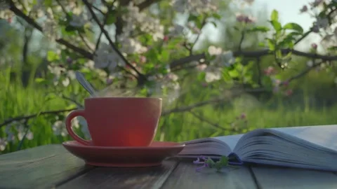 Warm cup of tea on wooden table with open book and blooming flowers in the Stock Footage 335101357