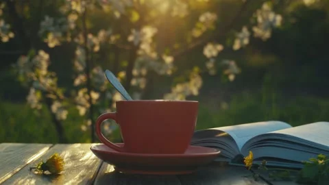 Warm cup of tea on wooden table beside an open book with blooming flowers in the Stock Footage 335171503
