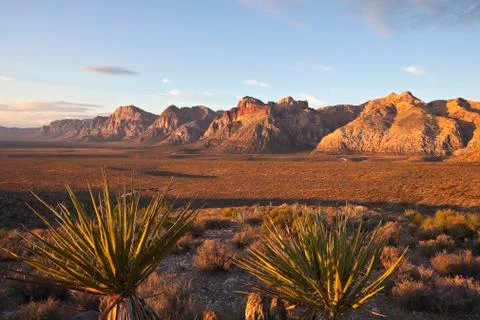 Warm dawn light at red rock national conservation area. Stock Photos