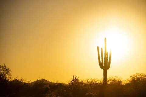 A Warm Desert Sunset Under a Cloudless Sky Photos