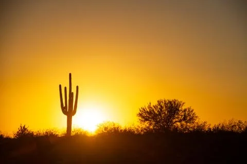 A Warm Desert Sunset Under a Cloudless Sky Fotos Stock