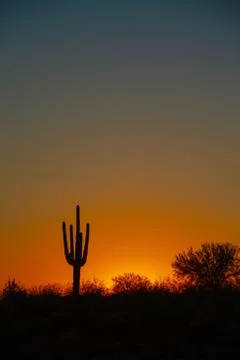 A Warm Desert Sunset Under a Cloudless Sky Photos