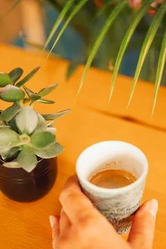 Warm drink in  cup held by  hand while sitting at  table with  plant and sunl Stock Photos