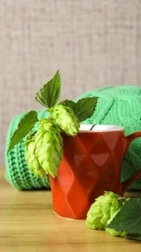 Warm drink in a red cup with hops and green leaves near a cozy knit blanket Stock Photos