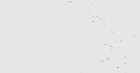 Warm Ember Particle Effect for Creative Motion Graphics Stock Footage 336839432