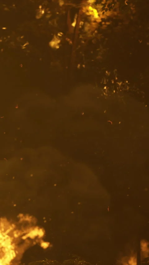 Warm embers dance in a dark night under a starlit sky Video stock 334253877