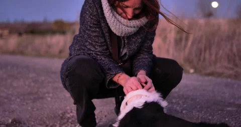Warm Embrace: A moment of connection between a woman and her dog Stock Footage 329681776